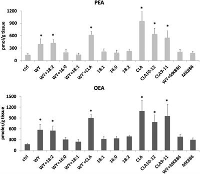 Conjugated Linoleic Acid and Brain Metabolism: A Possible Anti-Neuroinflammatory Role Mediated by PPARα Activation